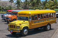 Colourful busses in Samoa by Erwin Blekkenhorst thumbnail