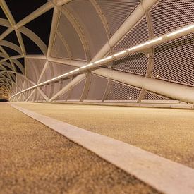 De Netkous (Portlandsebrug) Rotterdam van Bob Vandenberg