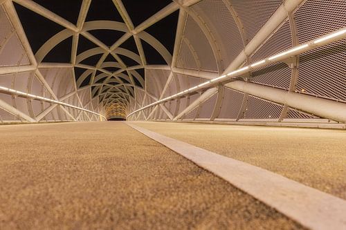 De Netkous (Portlandsebrug) Rotterdam