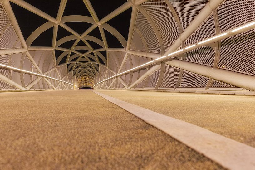Das Netkous (Portlandbrücke) Rotterdam von Bob Vandenberg