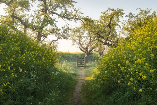 Het hekje naar het slagveld
