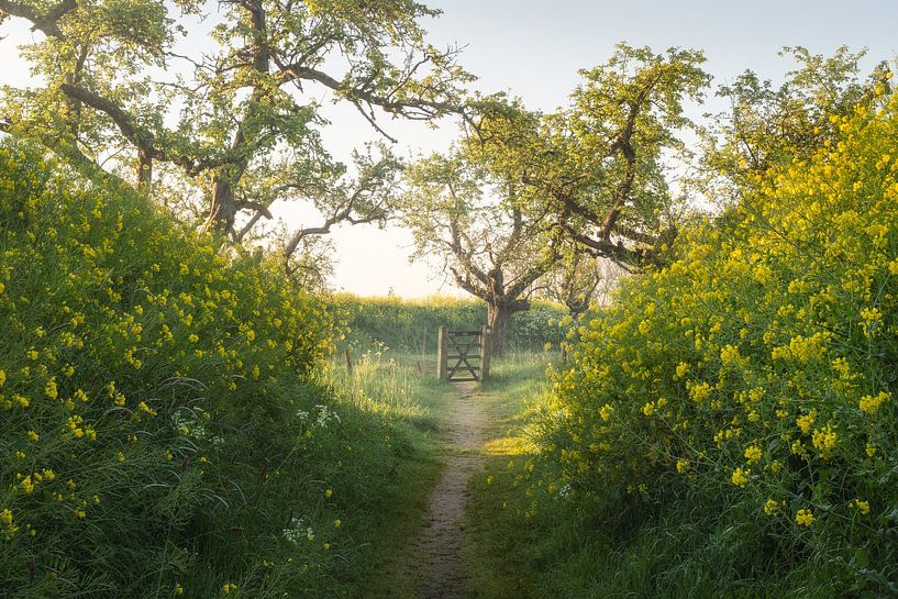 The gateway to the battlefield by Loris Photography
