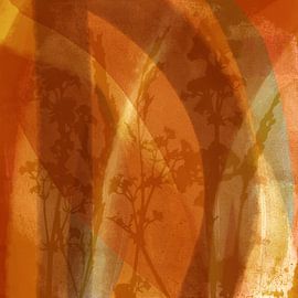 Organische Abstraktionen. Moderne abstrakte botanische Kunst. Wiesenblumen in Terra von Dina Dankers