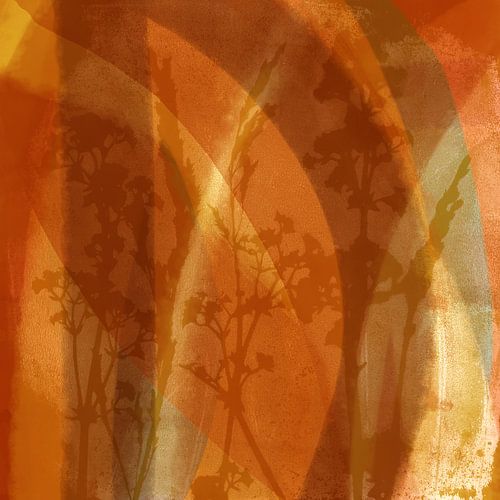 Organische abstracties. Moderne abstracte botanische kunst. Weidebloemen in terra