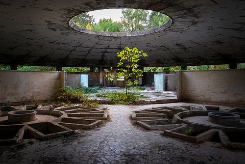 Spa abandonné dans Decay.