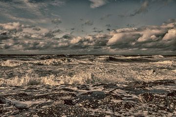 wind op de noordzee van anne droogsma