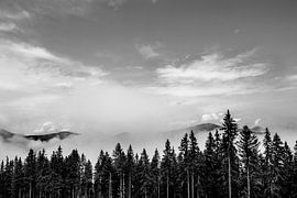 Wanneer de bergen uit het bos opstijgen.  von Wilko Visscher