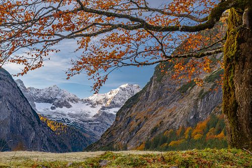 Sous les feuilles d'automne sur Denis Feiner