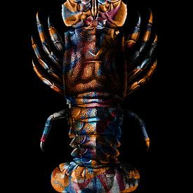 Prismatic Crustacean by Marja van den Hurk