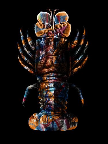 Prismatic Crustacean by Marja van den Hurk