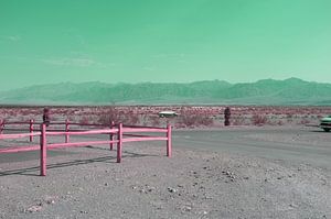 Arizona Desert
