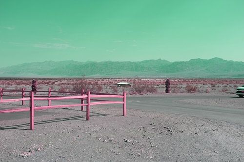 Wüste von Arizona