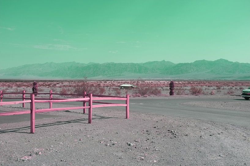 Arizona Desert by Luci Boreali
