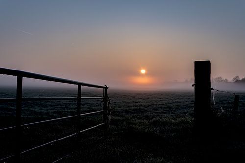 Waking up in the country