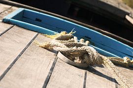 Boot van Agnes Meijer