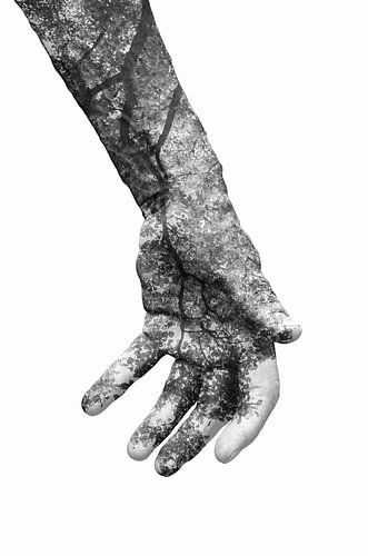 Double exposure | Symbioses