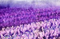 Purple Rain van Paula van den Akker thumbnail