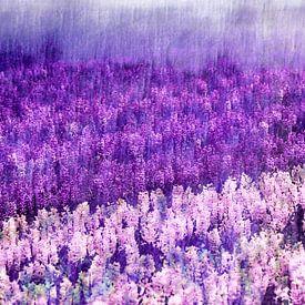 Purple Rain by Paula van den Akker