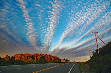 Towards the evening sun by Reinhard  Pantke