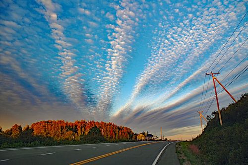 Towards the evening sun