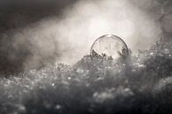 Bevroren zeepbel in de sneeuw van Milou Oomens thumbnail
