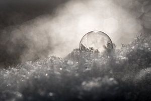 Frozen bubble on the snow sur Milou Oomens