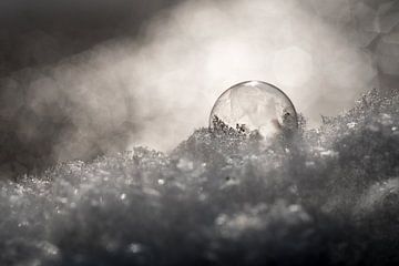 Bevroren zeepbel in de sneeuw van Milou Oomens
