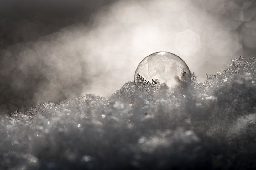 Bevroren zeepbel in de sneeuw van Milou Oomens