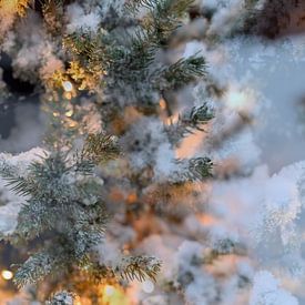 Weihnachtsbaum I von Art. by Janine
