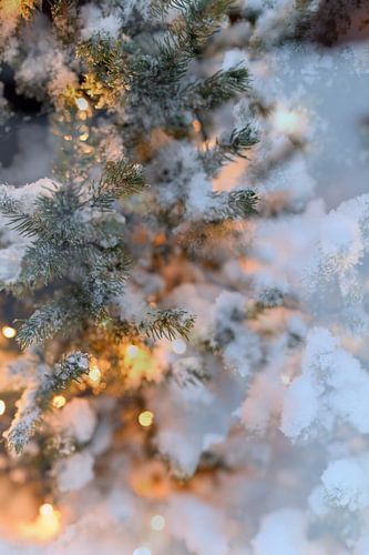 Abstracte fotografie | Macrofotografie | Kerstboom I
