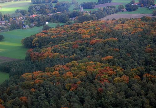 die Herbstfarben von Aafje Meerdink