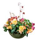Heuchera en begonia's in een plantenbak op een witte achtergrond van ManfredFotos thumbnail