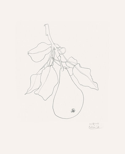Fijne tekening van een peer