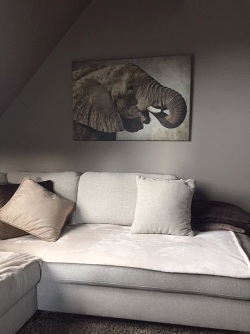 Afrikanischer Elefant
