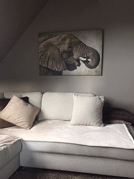 Kundenfoto: Afrikanischer Elefant von Angela Dölling