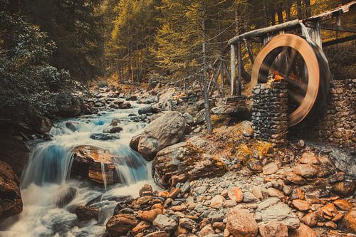 Harmonie in beweging