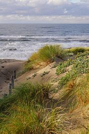 Beach, Sand and Waves by Dirk van Egmond