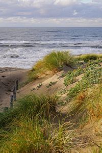 Beach, Sand and Waves sur Dirk van Egmond