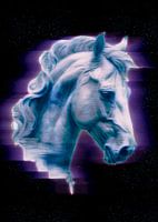Paard