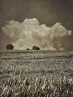 Hay bales field