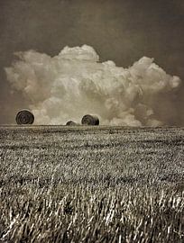Hooibalen op een veld van ASTR