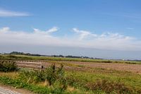 Texel