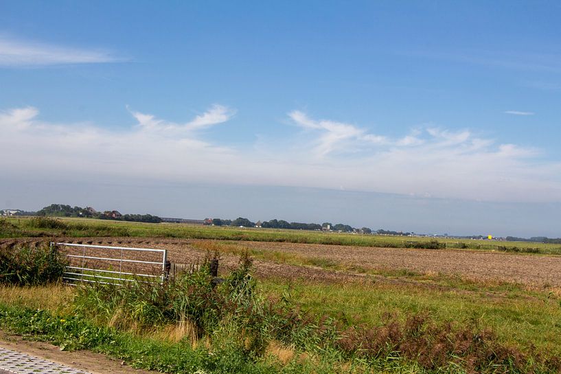 Texel van Daniël Smits