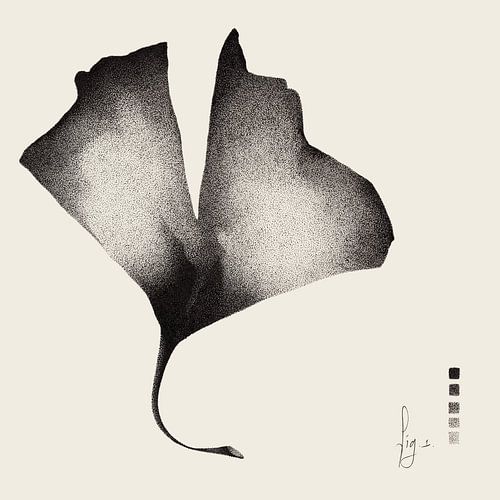 Ginkgo study I