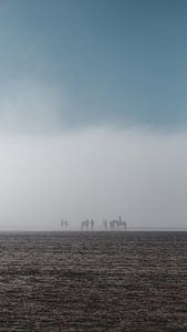 Reiten im Nebel