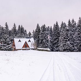 Erste Winterwanderung durch den verschneiten Thüringer Wald bei Tambach-Dietharz - Thüringen - Deutschland von Oliver Hlavaty