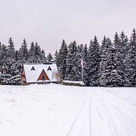 Eerste winterwandeling door het besneeuwde Thüringer Woud bij Tambach-Dietharz - Thüringen - Duitsland van Oliver Hlavaty