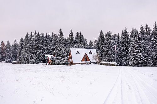 Eerste winterwandeling door het besneeuwde Thüringer Woud bij Tambach-Dietharz - Thüringen - Duitsland