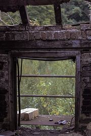 het geweld van de natuur von nicole bol