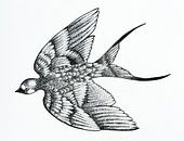 Pentekening van een zwaluw van Lianne Landsman thumbnail